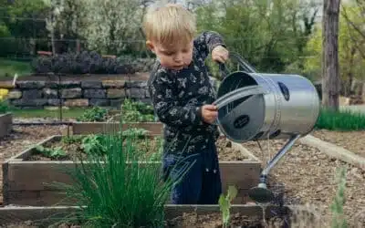 The Benefits Of Spending Time In Your Garden