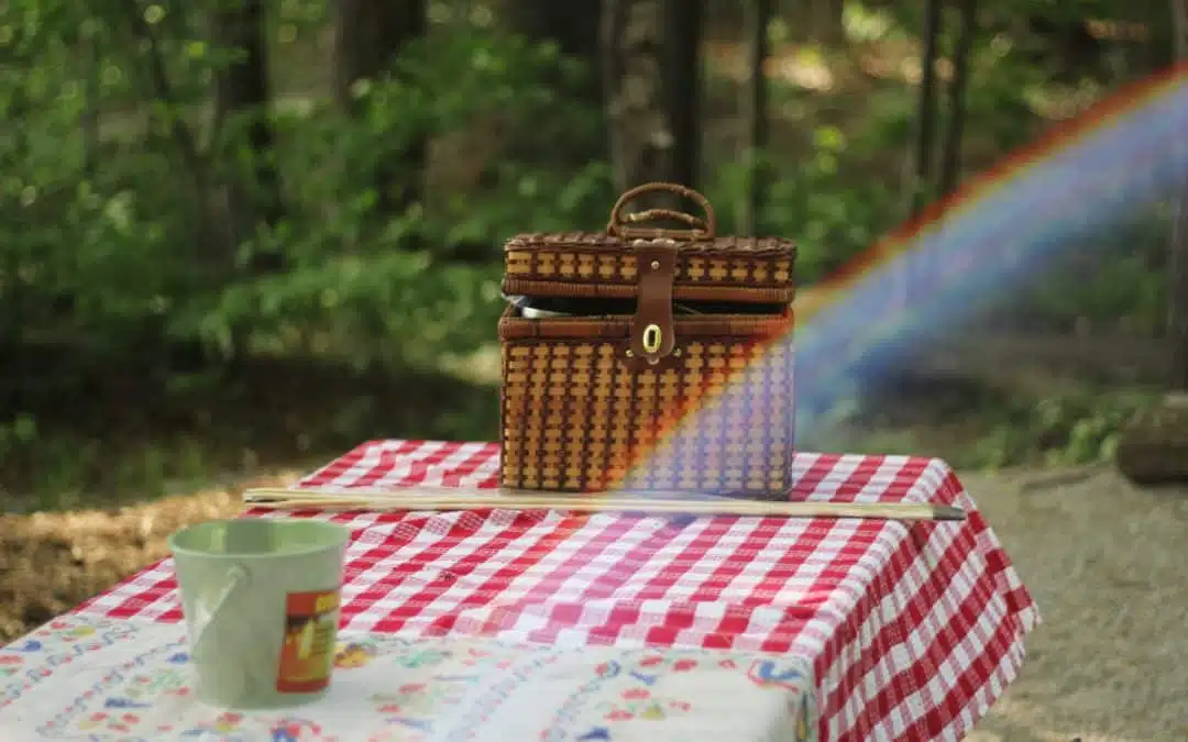 Top 5 Tips For Planning The Perfect Picnic This Summer