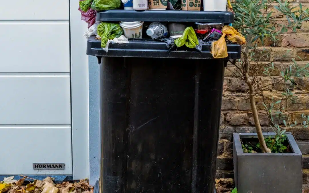 Which Wheelie Bin Storage Option Is Right for You
