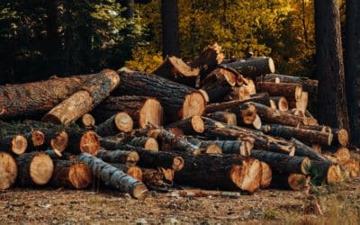 How to store your winter wood outside