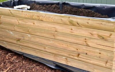 Revive Your Wooden Planters This Spring