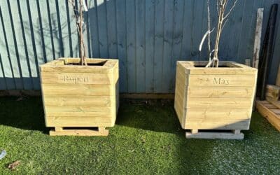 8 Benefits of Raised Bed Planters for Your Garden