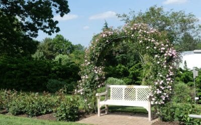 Wooden Outdoor Furniture: A Timeless Choice